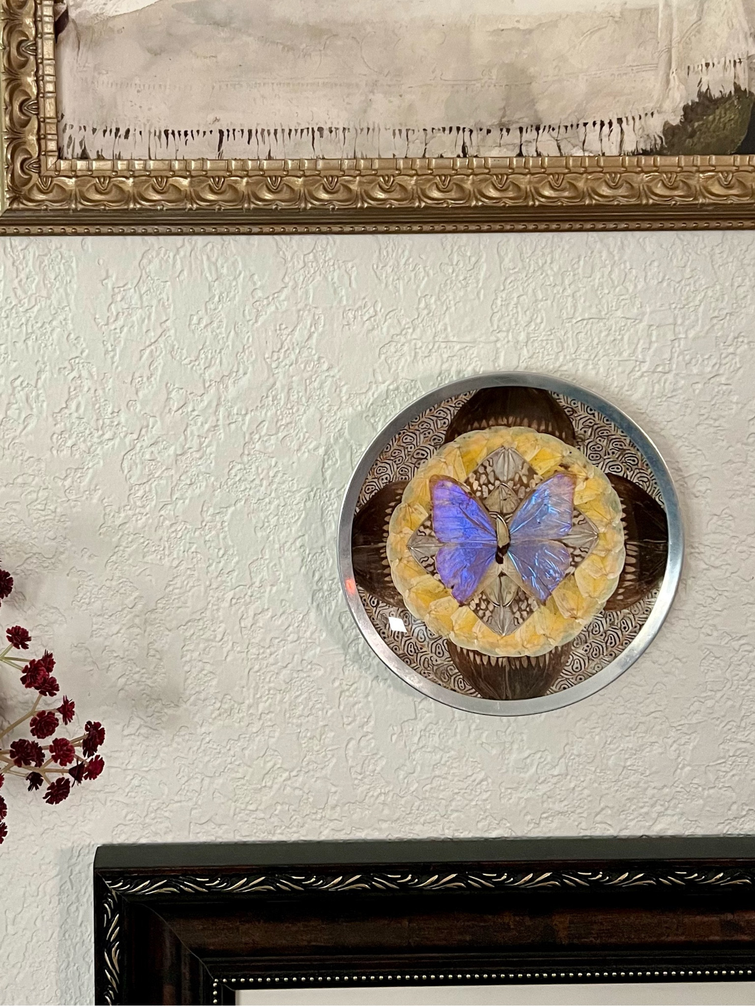 Butterfly plate from Brazil!

#LTKFindsUnder100 #LTKFindsUnder50 #LTKHome