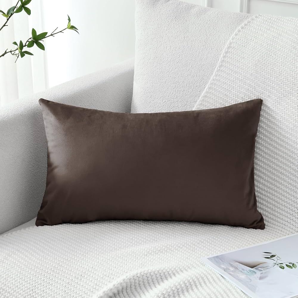 Artscope Luxury Velvet Pillow Covers Decorative Rectangle Pillowcases Soft Solid Cushion Cases fo... | Amazon (US)