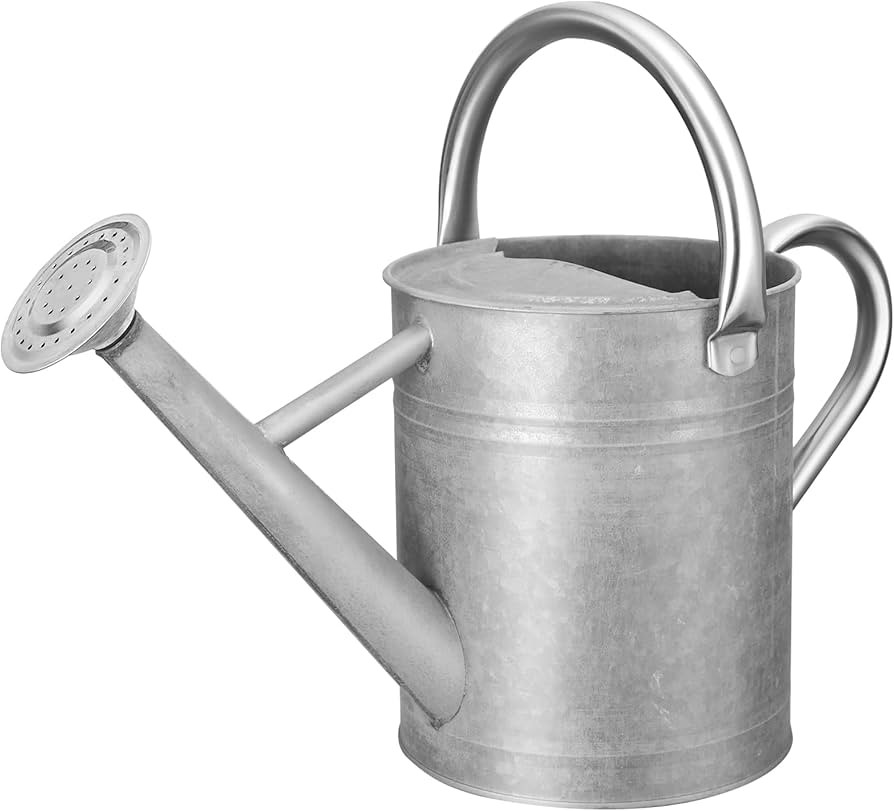 Watering Can for Outdoor Plants&Indoor Plants,Plant Watering Can 1 Gallon,Metal Flower Garden Wat... | Amazon (US)