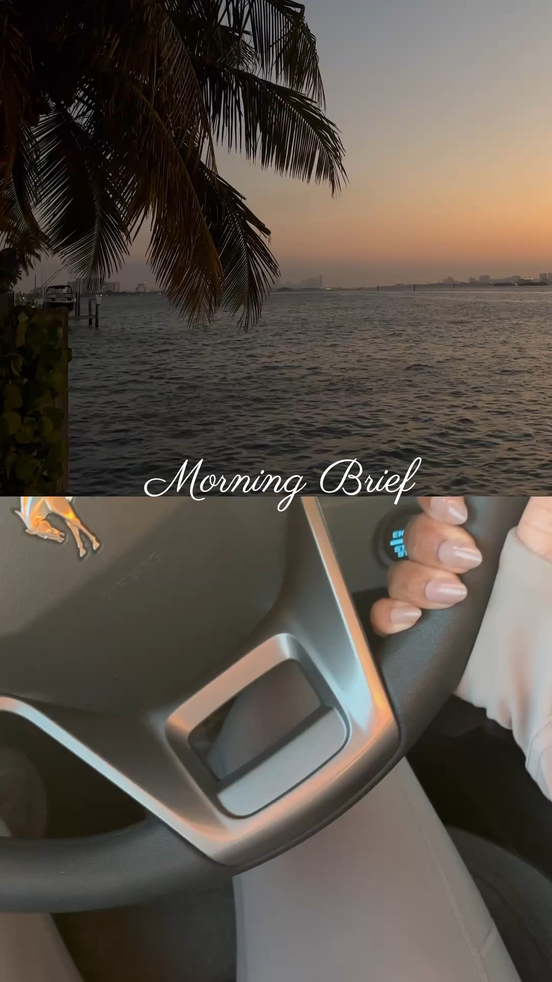 Morning Brief 

#LTKHome #LTKWatchNow #LTKActive