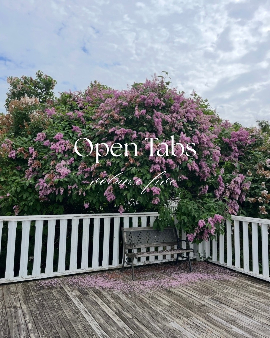 A maxi halter dress I can’t stop thinking about and many others! 