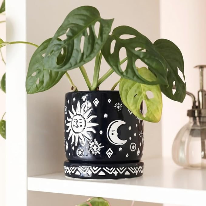 Amazon.com: Midnight Sun & Moon Phases Planter | Indoor for Succulents | Sun Moon Pot | Celestial... | Amazon (US)
