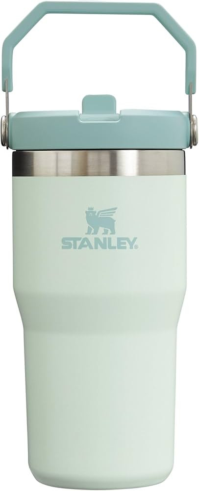 STANLEY IceFlow Stainless Steel Tumbler with Straw, Vacuum Insulated Water Bottle for Home, Offic... | Amazon (US)