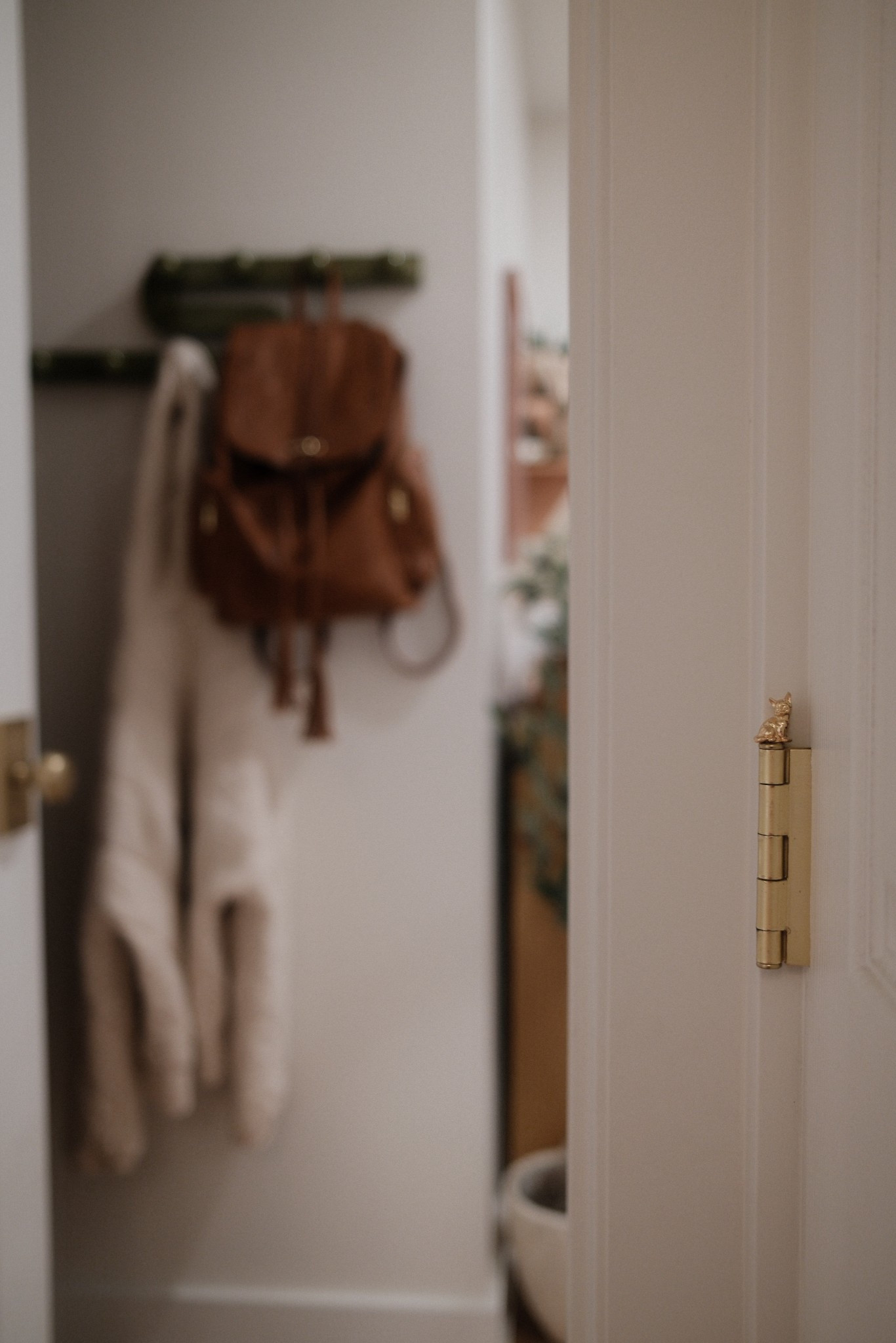 Decorative hinge magnets ✨

#LTKHome #LTKPets #LTKSeasonal