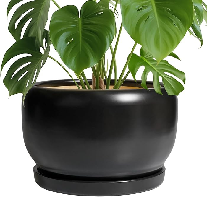 SQOWL Ceramic Flower Pot - 10 Inch Planter with Drainage Hole and Saucer, Modern Large Plant Pot ... | Amazon (US)