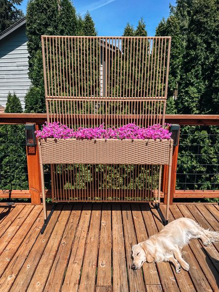 Outdoor privacy screen
Planter for backyardd
Faux outdoor flowers


#LTKSeasonal #LTKHome #LTKSaleAlert