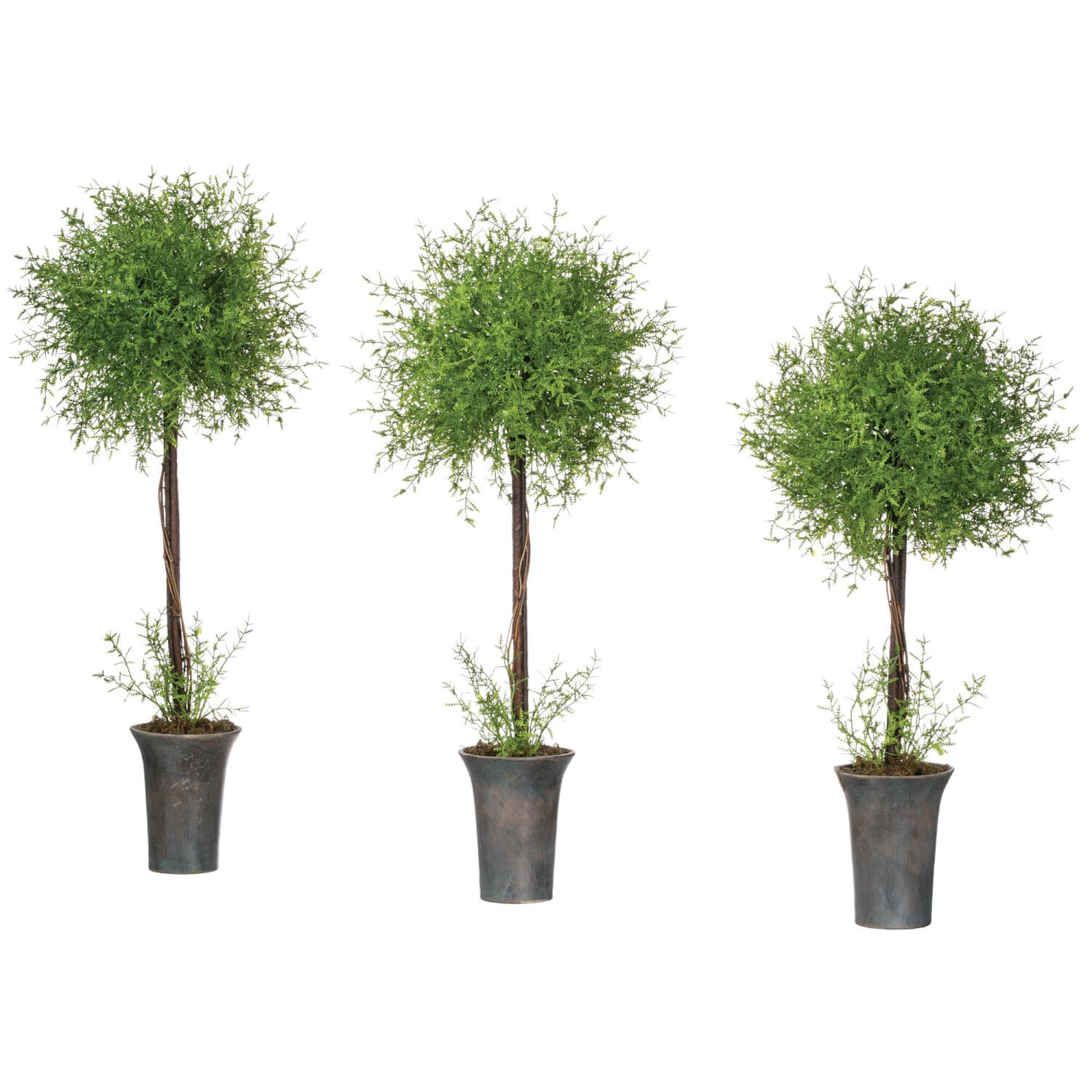 Feather Fern Topiary - 3 Sizes | The Nested Fig