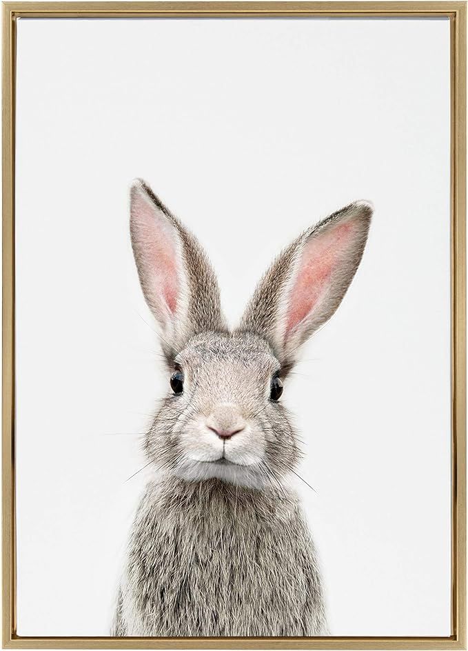 Kate and Laurel Sylvie Female Baby Bunny Rabbit Animal Print Portrait Framed Canvas Wall Art by A... | Amazon (US)