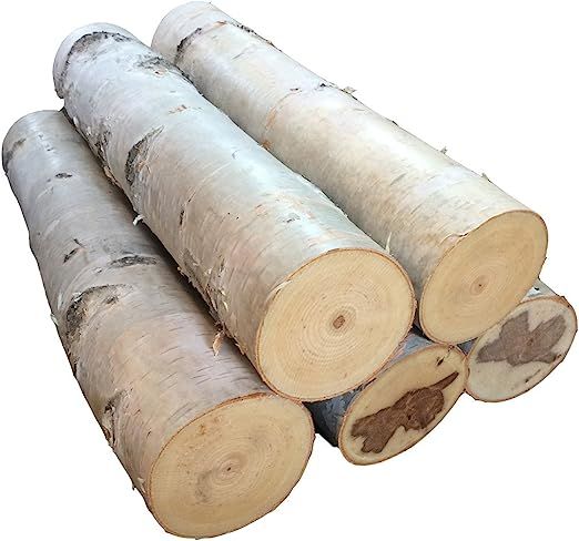 Large Birch Fireplace Log Set of Five | Amazon (US)