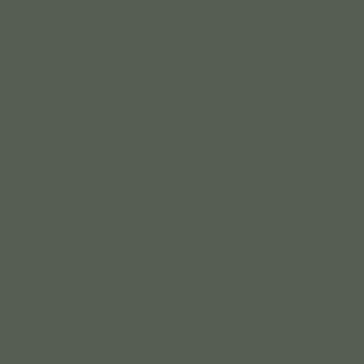 Vintage Vogue (462) - Paint Sample | Samplize