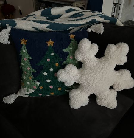 Snowflake Christmas pillow 

#snowflakepillow #pbpillow #christmas 

#LTKhome #LTKSeasonal #LTKHoliday