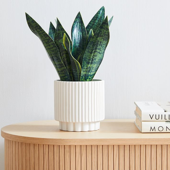 Faux Potted Snake Plant | West Elm (US)