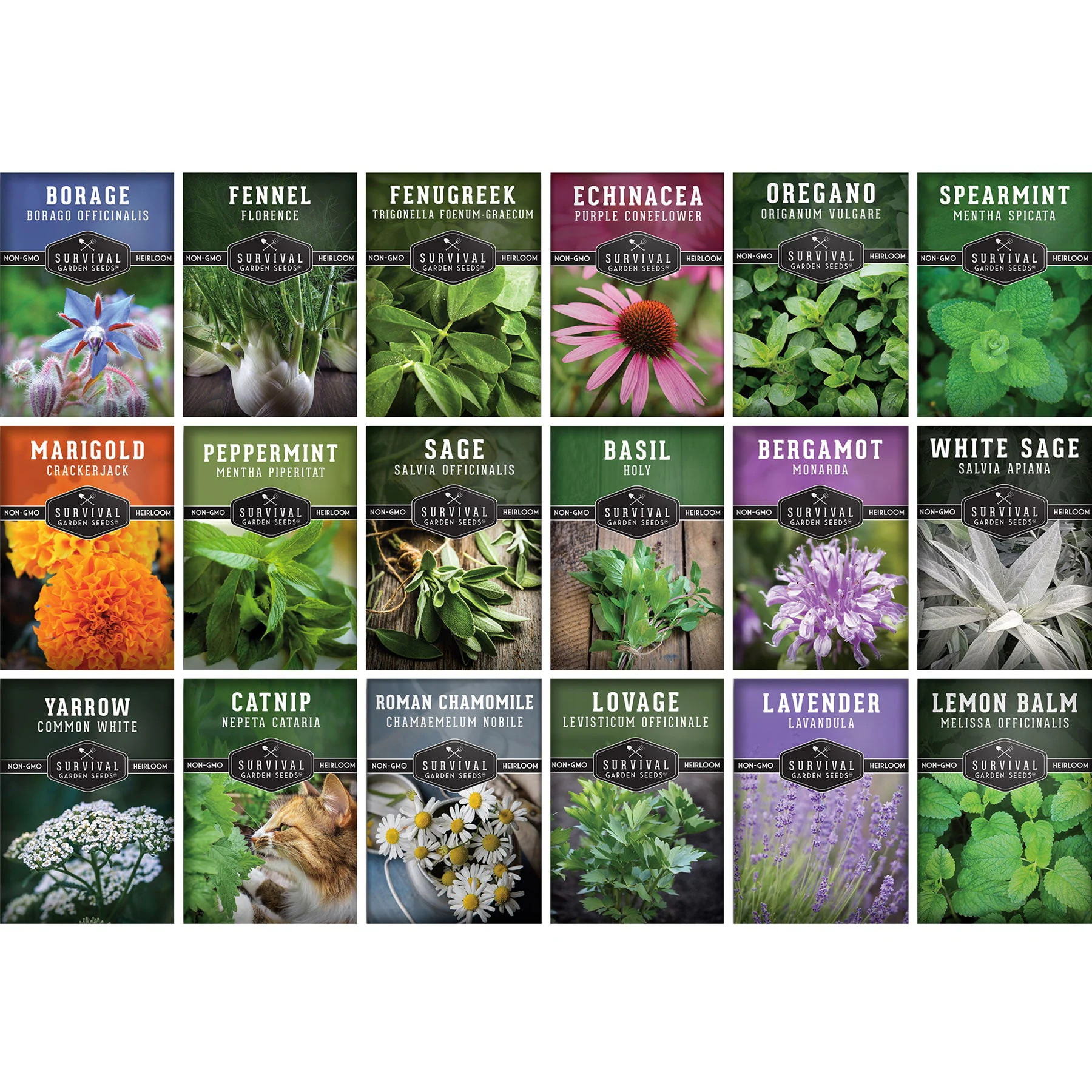 Survival Garden Seeds Medicinal Herb 18 Packet Seed Collection for Tea and Apothecary Gardens one_size | MEDICINAL18COLLEC | Lowe's