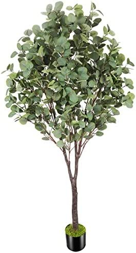 OXLLXO 6ft Artificial Eucalyptus Tree (72in) with Plastic Nursery Pot Faux Tree, Silver Dollar Le... | Amazon (US)