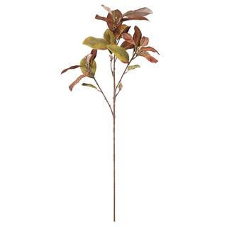 37" Brown Magnolia Leaf Stem by Ashland® | Michaels | Michaels Stores