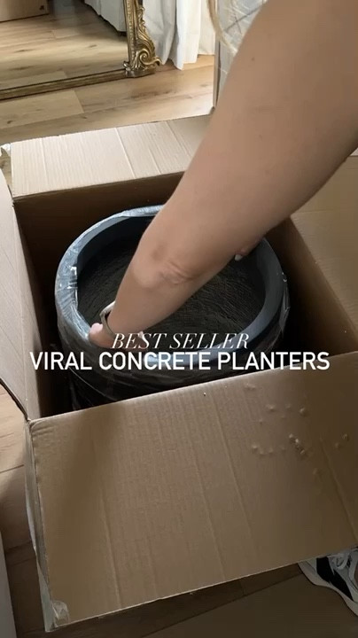 The viral concrete planters you've seen everywhere ✨ Shop them here!

#LTKhome #amazonfinds #viralfinds #concreteplanters #amazonhome #homedecor #ltkit

#LTKdayinmylife #LTKHome #LTKSaleAlert