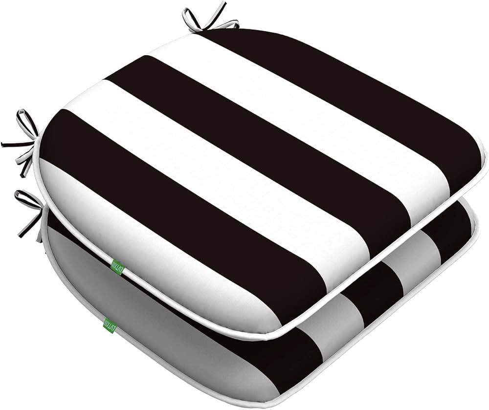 LVTXIII Outdoor Chair Cushions Set of 2, Patio Seat Cushions D16xW17 Inch with Ties for Patio Fur... | Amazon (US)