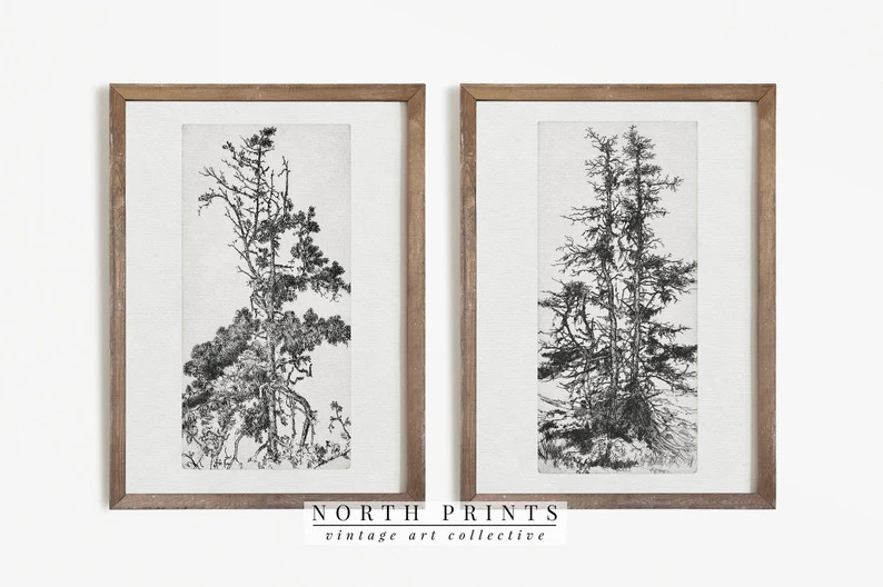 Pine Tree Sketch SET | Vintage Botanical Drawing | Rustic Etching PRINTABLE #S2-6 | Etsy (US)