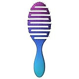 WetBrush Pro Flex Dry Brush - Teal Ombre | Amazon (US)