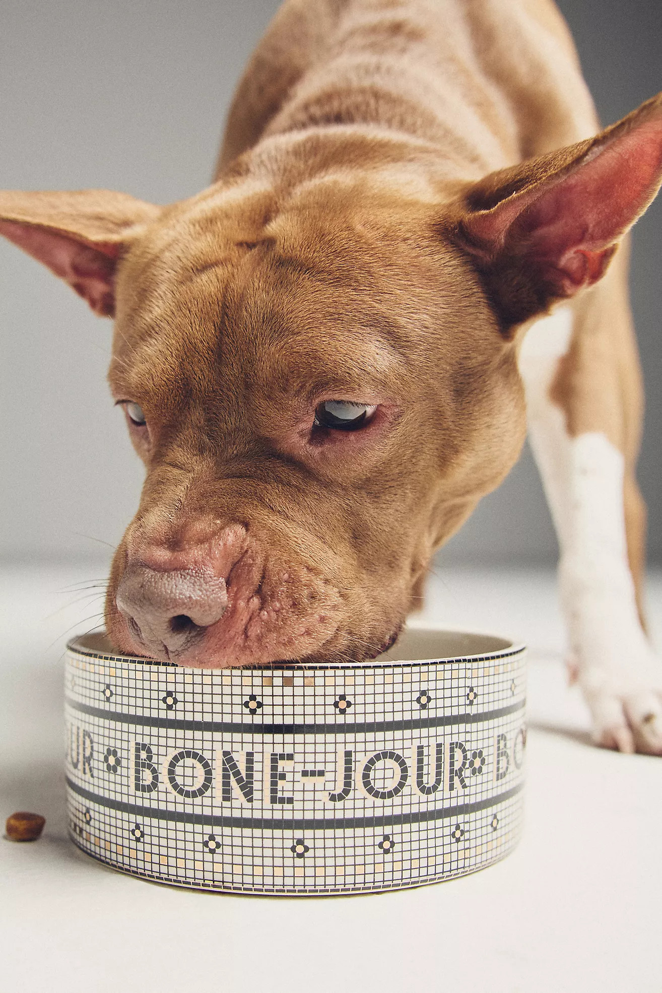 The Bistro Tile Large Stoneware Dog & Cat Bowl | Anthropologie (US)