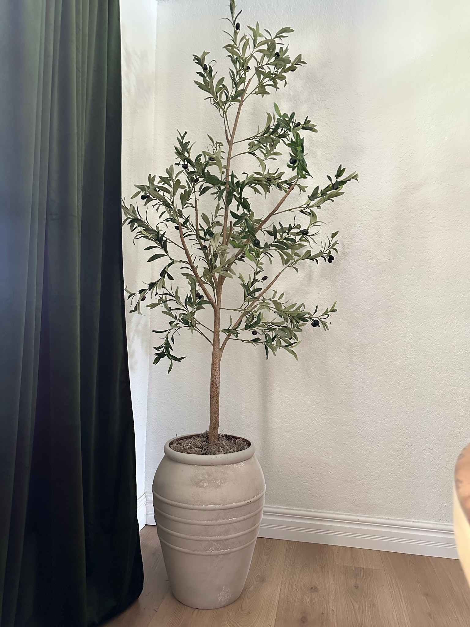 Olive tree. A great way to add greenery to add empty corner. 

Dining room 
Living room 
Family room 
Tree 
Planter 
Olive 
Amazon home 
Amazon olive tree
Mediterranean garden
Garden
Spanish 
Terracotta 
Ceramic 
Designer look for less 
Pottery barn 
McGee
Magnolia

#LTKSeasonal #LTKHome #LTKSaleAlert