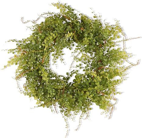 National Tree Company Door Wreath 22 Inch Berry Wreath with Boxwood Leaves and Green Berries Deco... | Amazon (US)