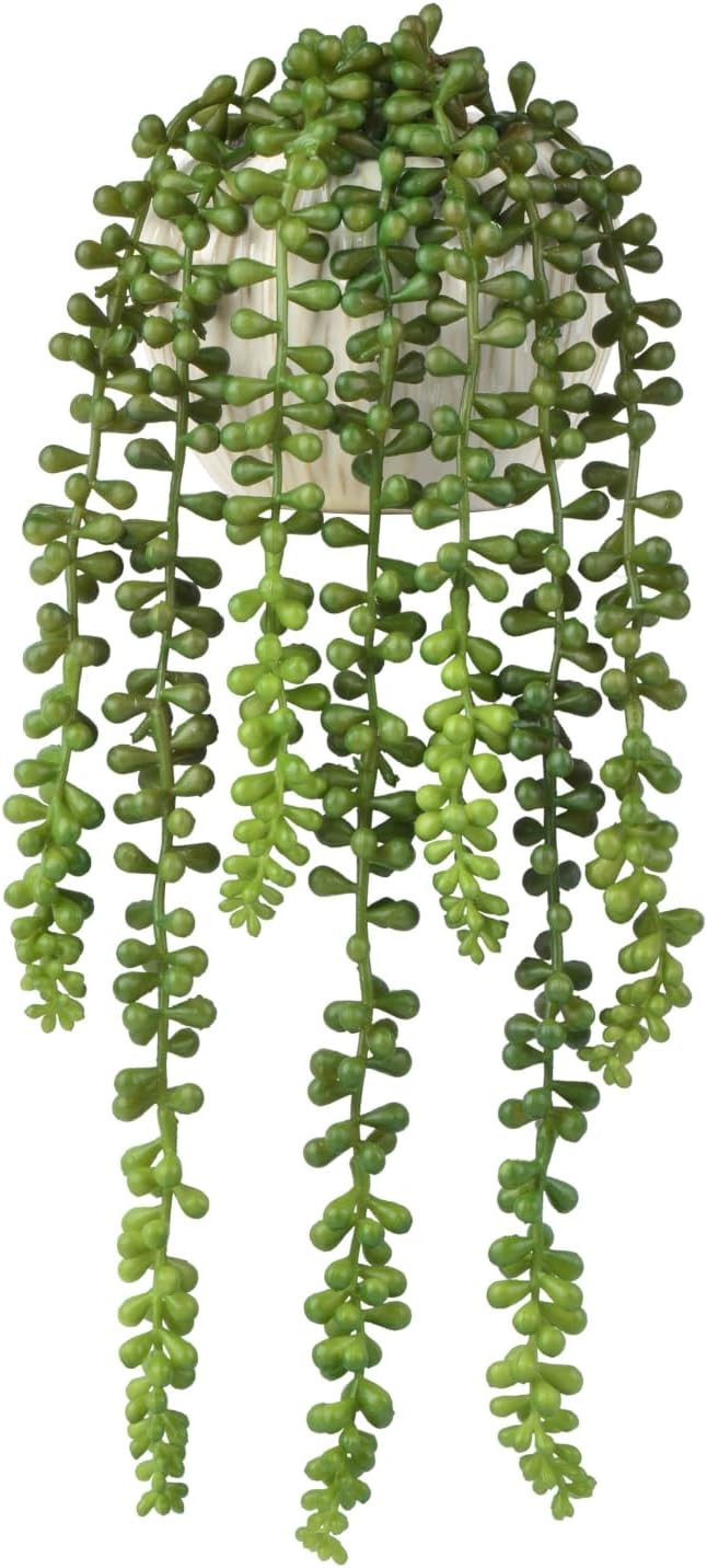 Succulents Plants Artificial, Small String of Pearls with Ceramic Pot Artificial Faux String of P... | Amazon (US)