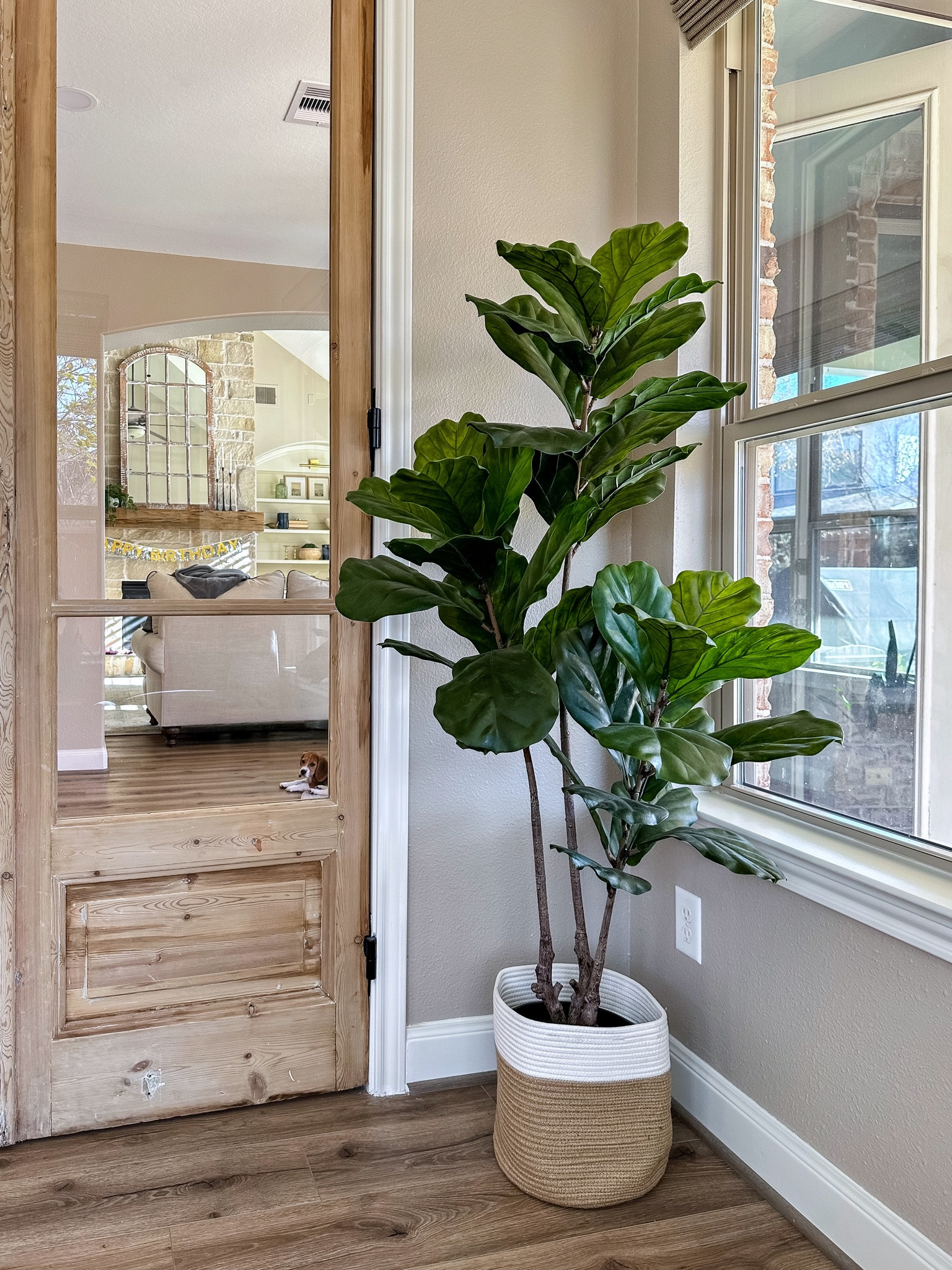 One of my all time favorite mid-size faux trees! We’ve had this one for years. The leaves look and feel very real, and this one is indoor/outdoor UV resistant!

Home Decor, Faux Tree, Tree Basket, Amazon Home, Amazon Finds, Home Organization, Home Refresh, Spring Decor, Fiddle Leaf Fig. 



#LTKFind #LTKhome #LTKstyletip