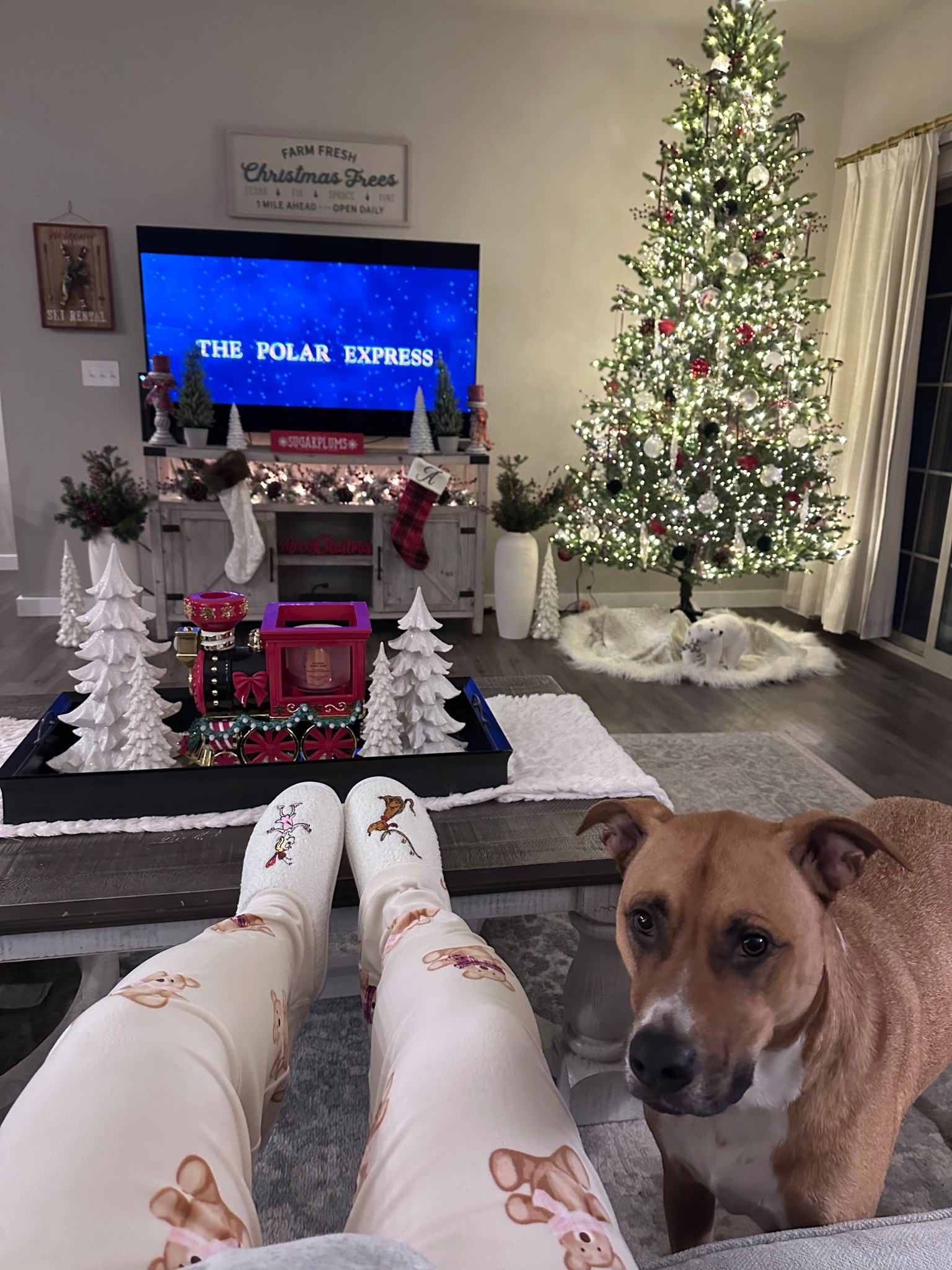 The cutest teddy bear pants 🧸🎀🧣 

#LTKGiftGuide #LTKHoliday #LTKSeasonal