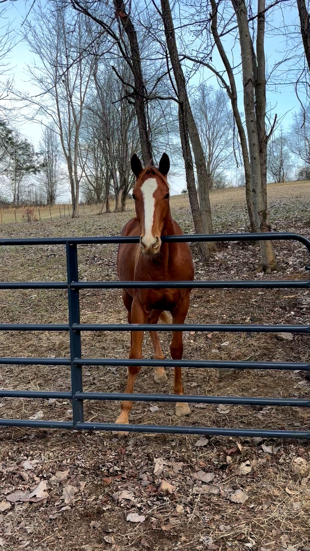 My perfect girl ♥️

#LTKmomlife #LTKActive #LTKHoliday