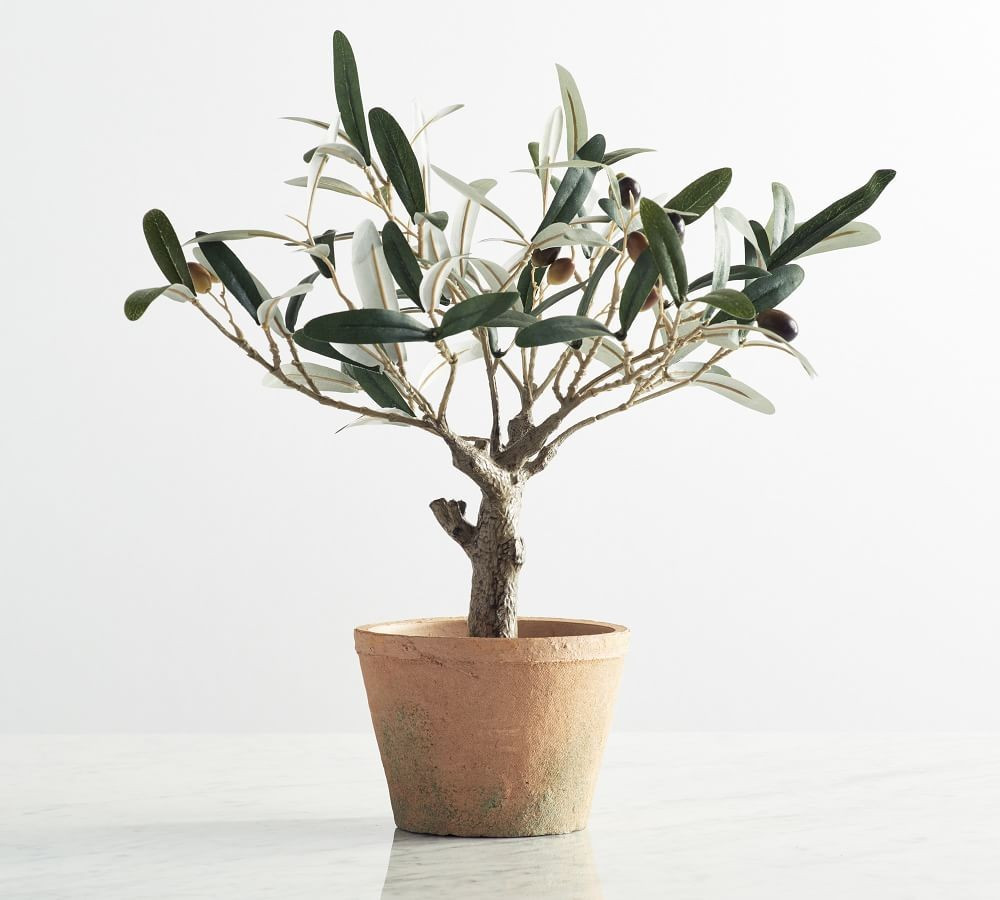 Faux Potted Olive Tree, Mini | Pottery Barn (US)