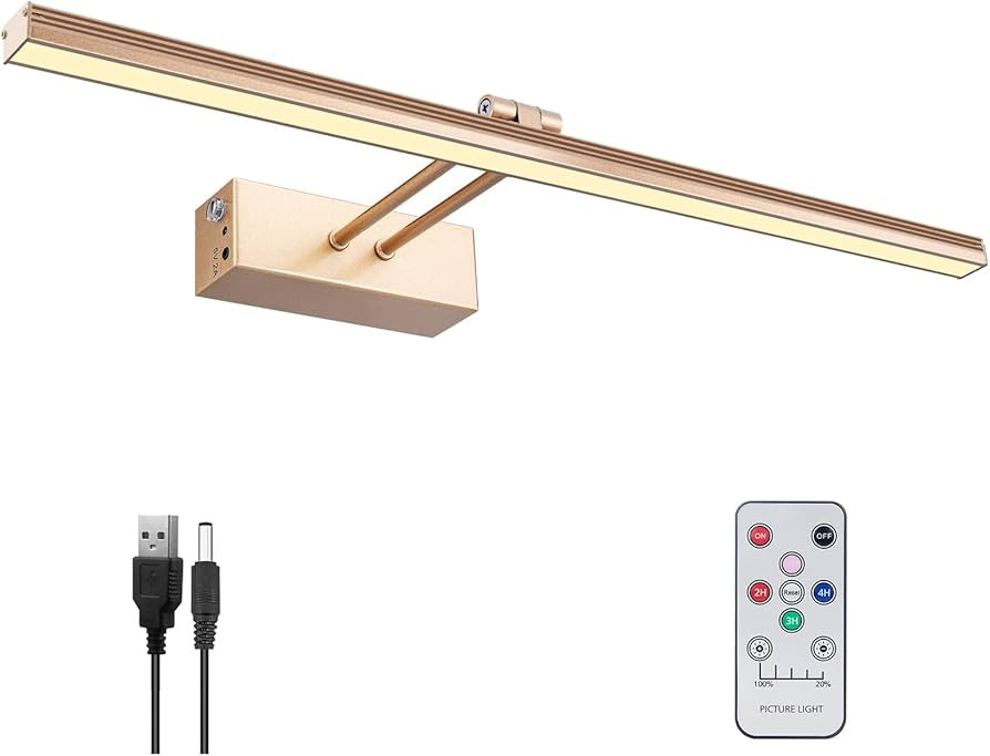 FUNCHDAY Picture Light,5000mAh Battery Operated Picture Light for Wall,Wireless Remote Painting L... | Amazon (US)