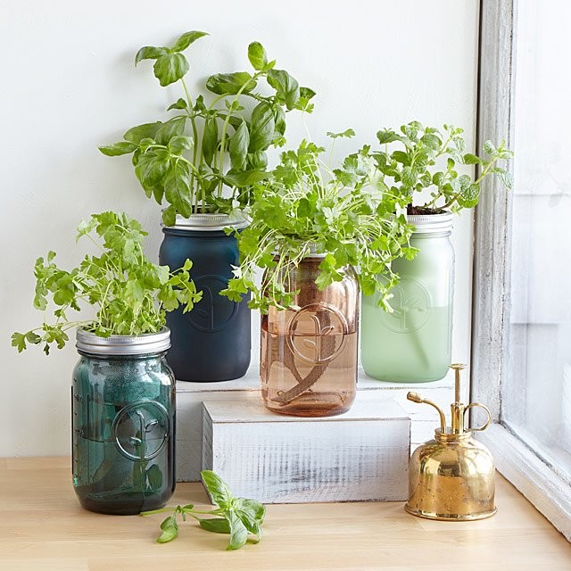 Mason Jar Indoor Herb Garden | UncommonGoods