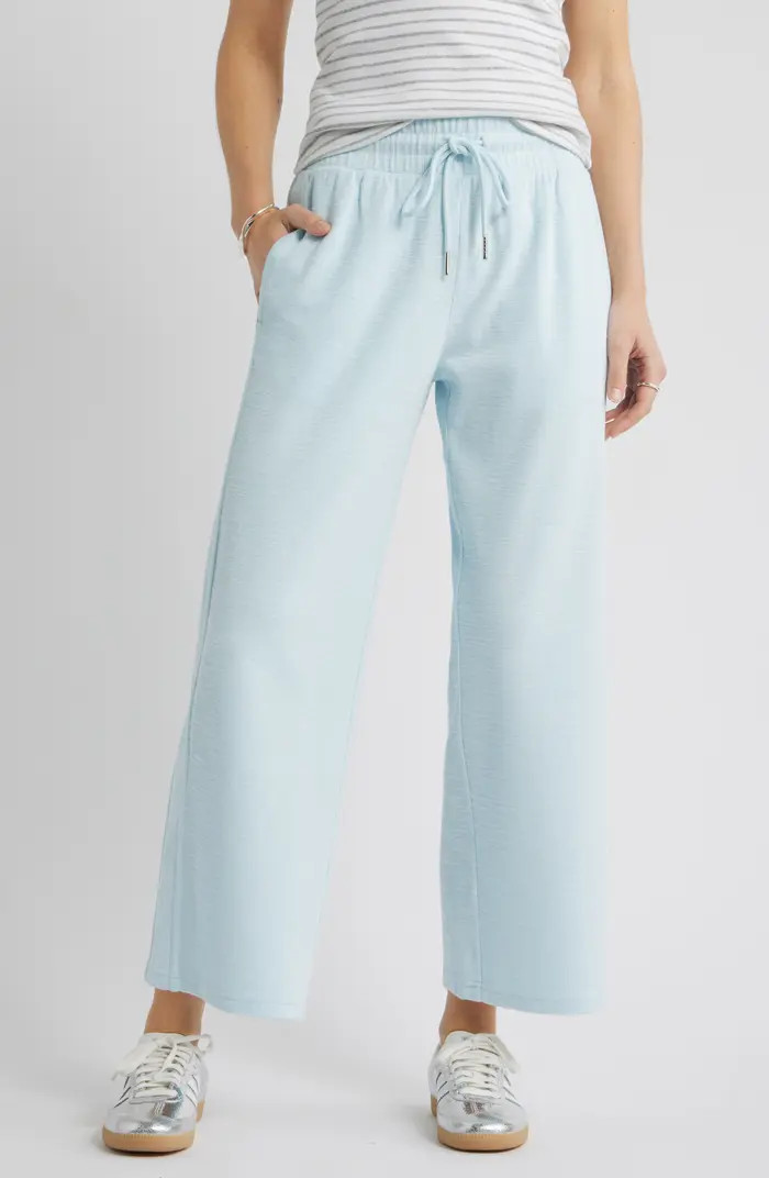 Ankle Wide Leg Travel Pants | Nordstrom