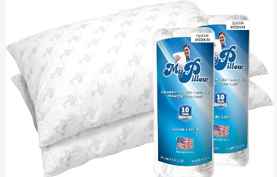 The Best Pillows on the Planet! My Pillows have truly been my pillow for the last 20 years! I can't sleep without them! 

 #LTKHome #LTKFindsUnder100