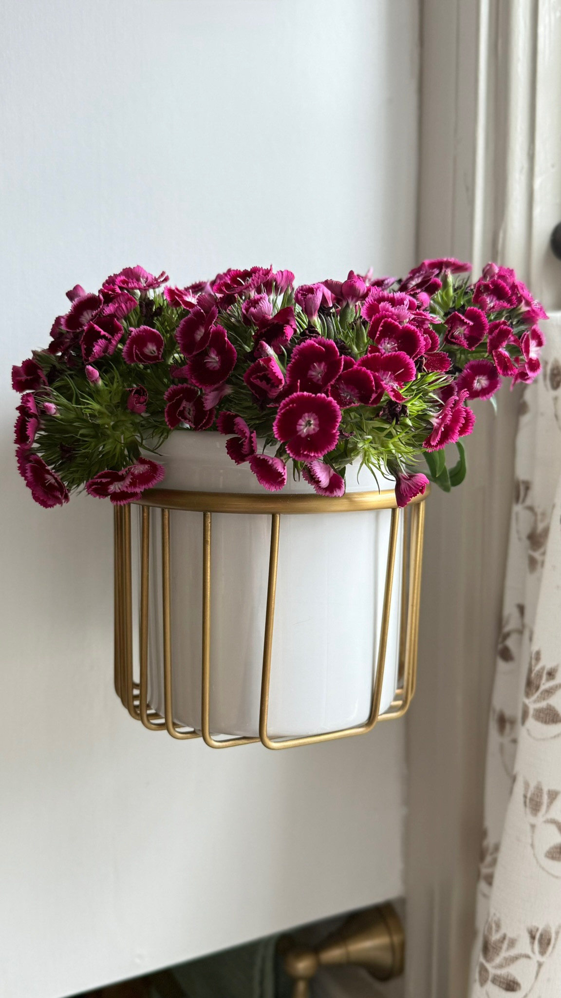 Fresh flowers to start the week 💐

#kitchendecor 



#LTKHome #LTKFindsUnder50