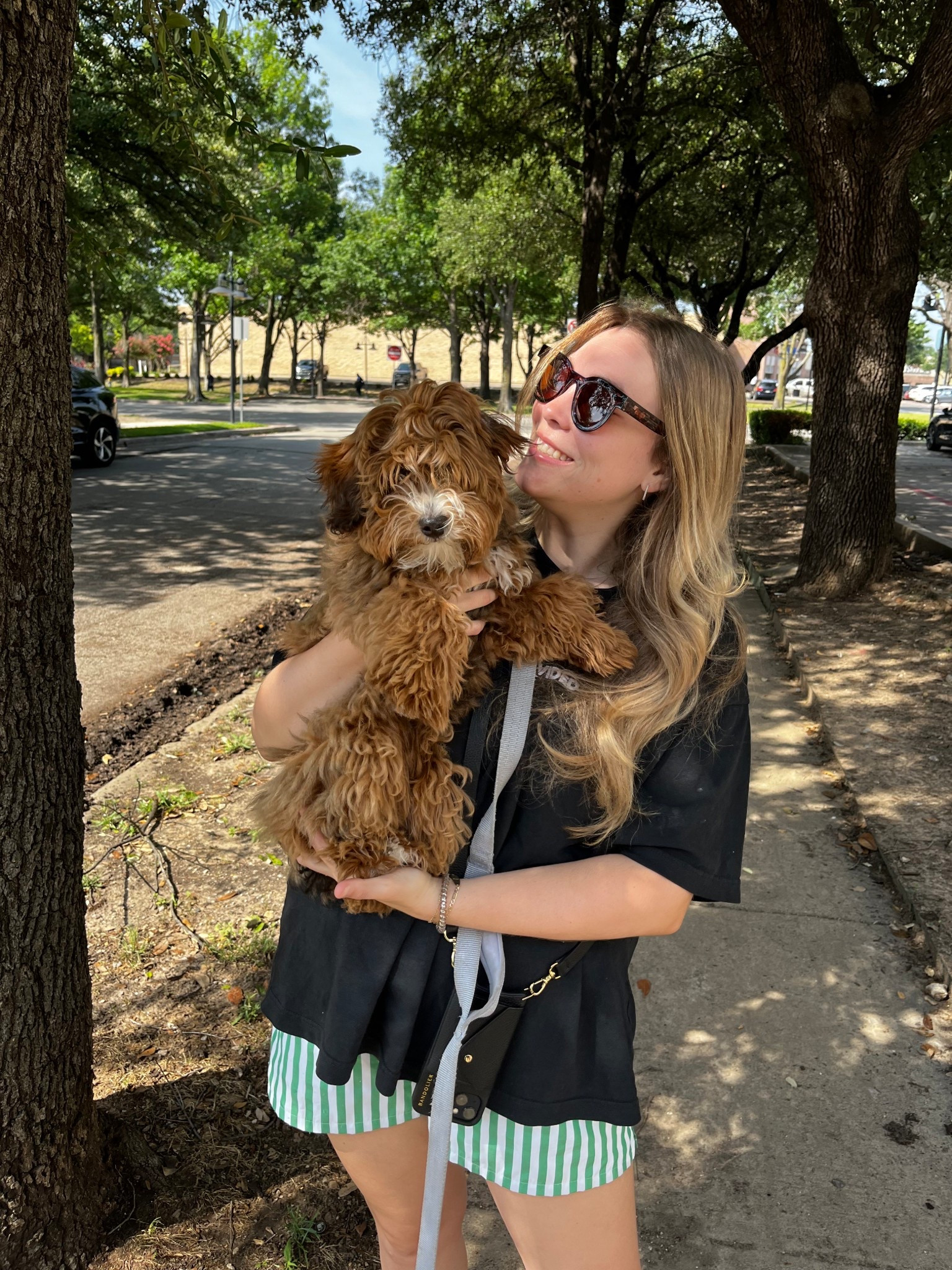 Dropped off little girl for her first ever haircut 🥹 

#LTKSummerEdit #LTKItBag #LTKPets