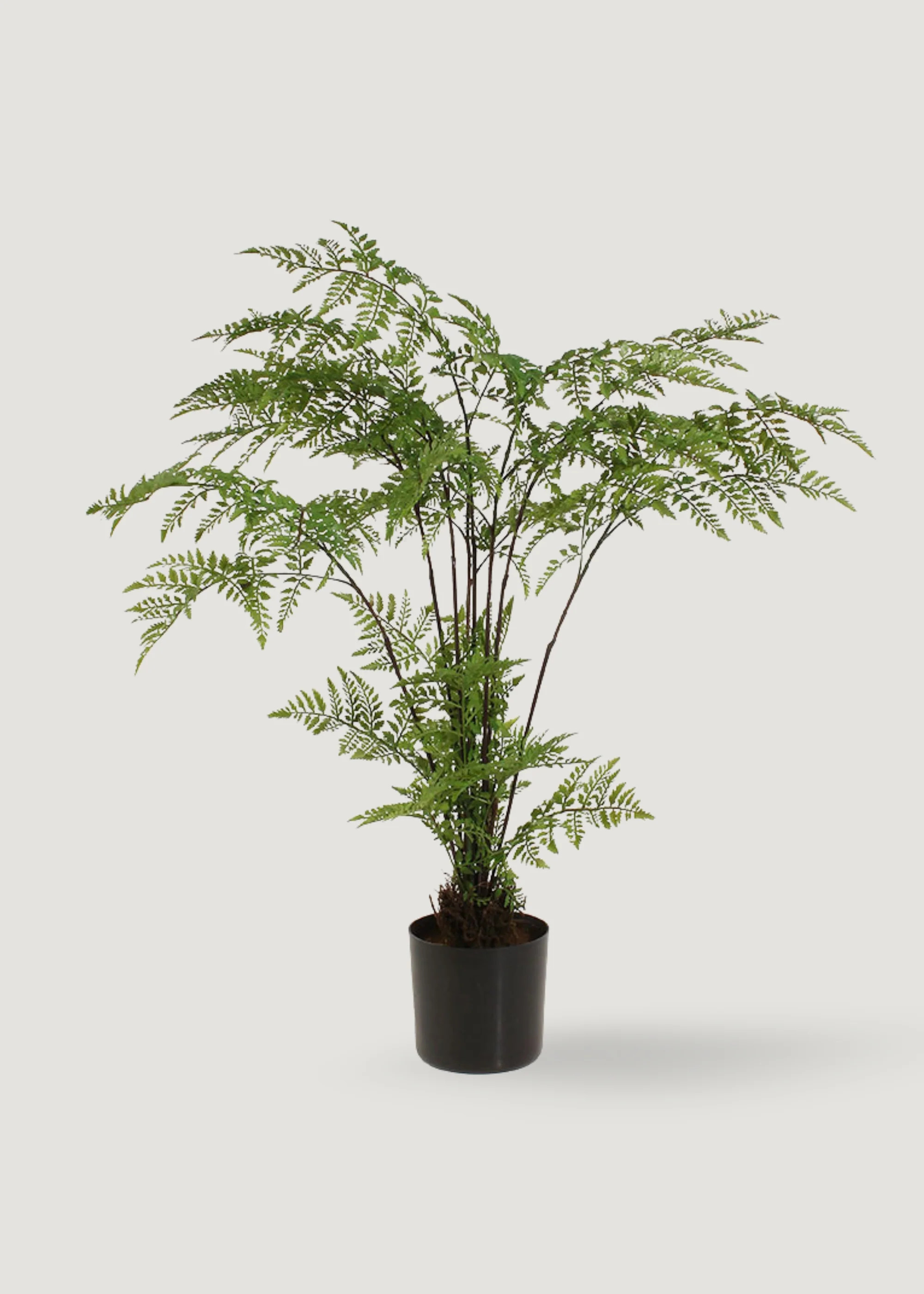 Artificial Fern Potted Floor Plant - 26 | Afloral