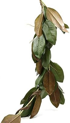 Serene Spaces Living 50in Long Artificial Magnolia Leaf Garland, Ideal to Hang at Wedding, Store ... | Amazon (US)