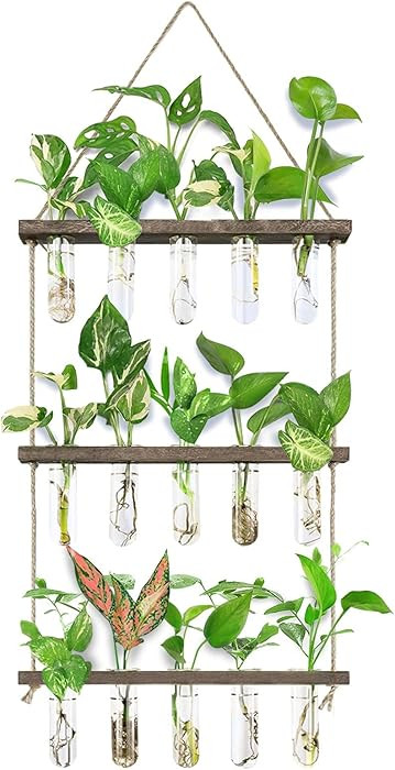 XXXFLOWER Wall Hanging Propagation Station with Wooden Stand 5 Glass Test Tubes 3 Tiered Planters... | Amazon (US)