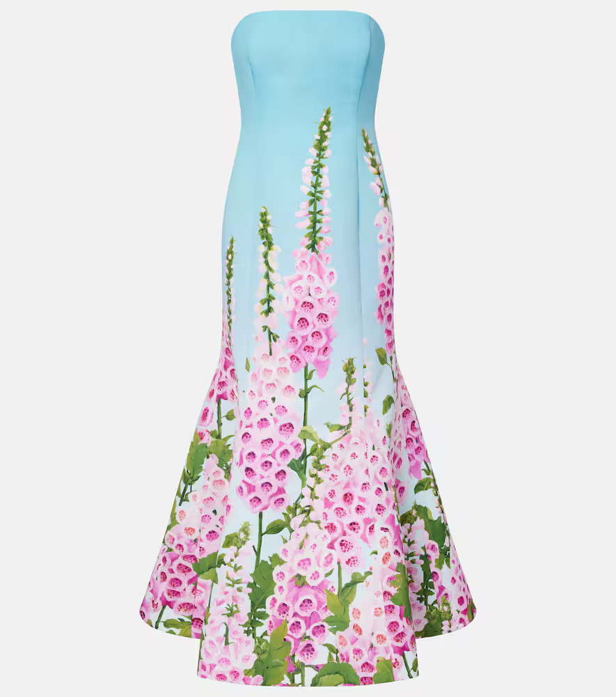 Oscar de la Renta Floral printed bustier gown | Mytheresa (US/CA)
