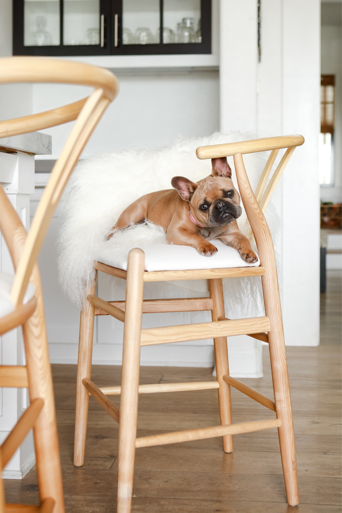 Darla is just living her best life on our lovely Arhaus barstools!! Shop the Arhaus summer sale going on now! 

#LTKhome #LTKfamily #LTKsalealert