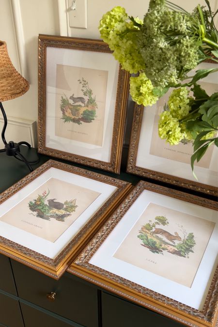 Amazon Gallery Wall idea! Love these bunny prints and 11x14 antique frames for our nursery. 

#LTKBaby #LTKHome #LTKFindsUnder100