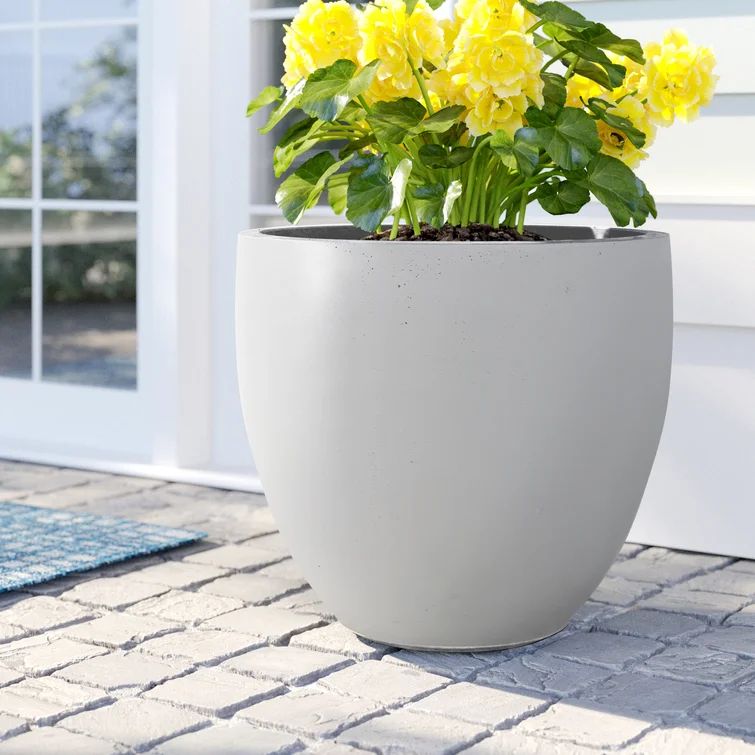 Acushnet Pot Planter | Wayfair North America