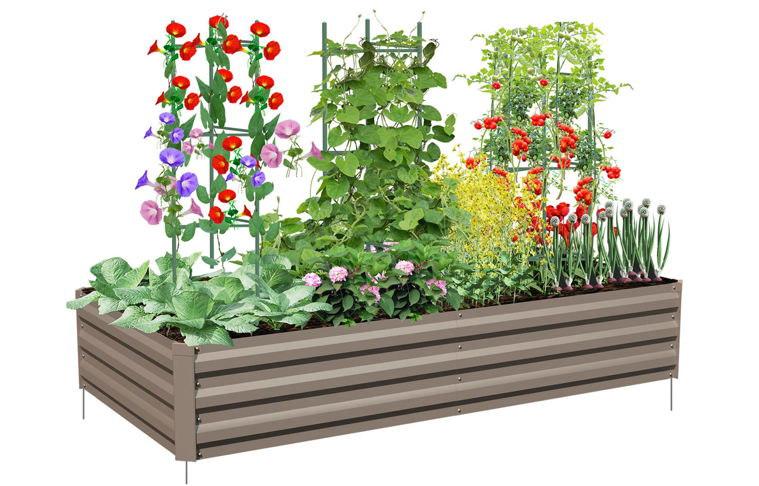 Kymari Galvanized Raised Garden Bed, Multiple Sizes to Choose, Plant Supports Offered | Wayfair North America