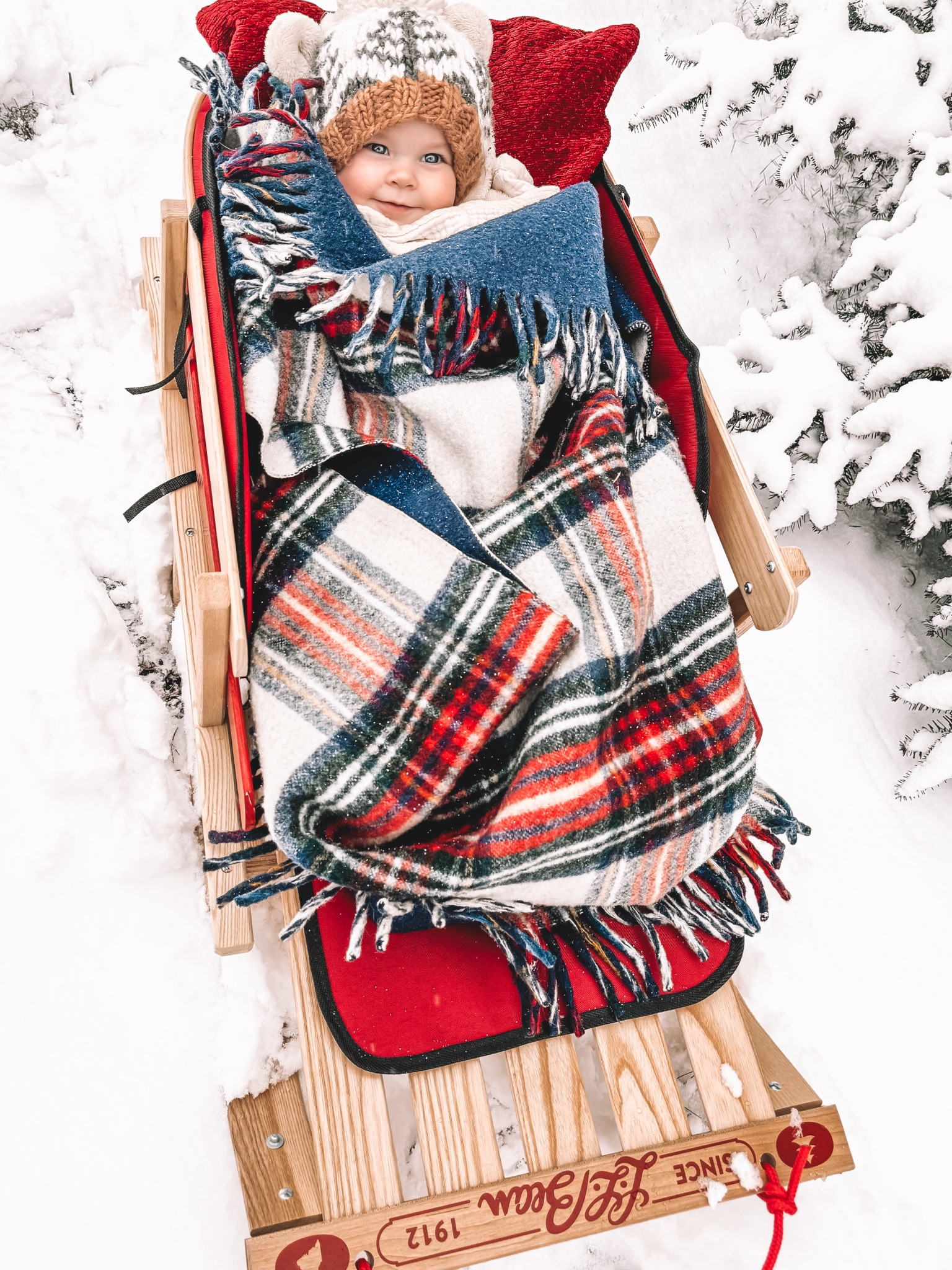 The LLBean sled is a must have for Christmas pics! 🎄

#LTKHoliday #LTKSeasonal #LTKbaby