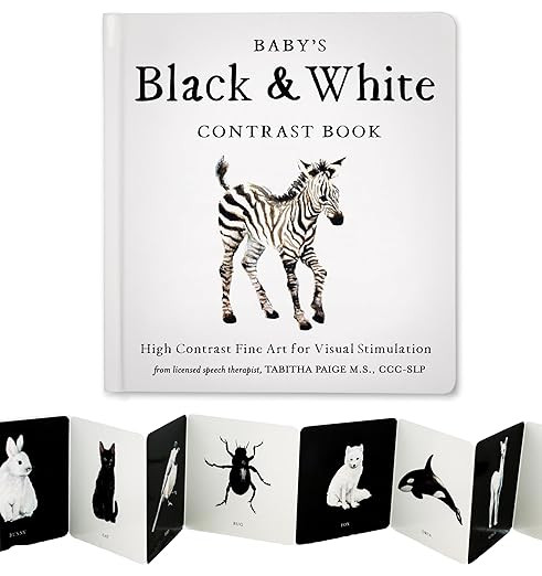 Baby's Black and White Contrast Book: High-Contrast Art for Visual Stimulation at Tummy Time (Tab... | Amazon (US)