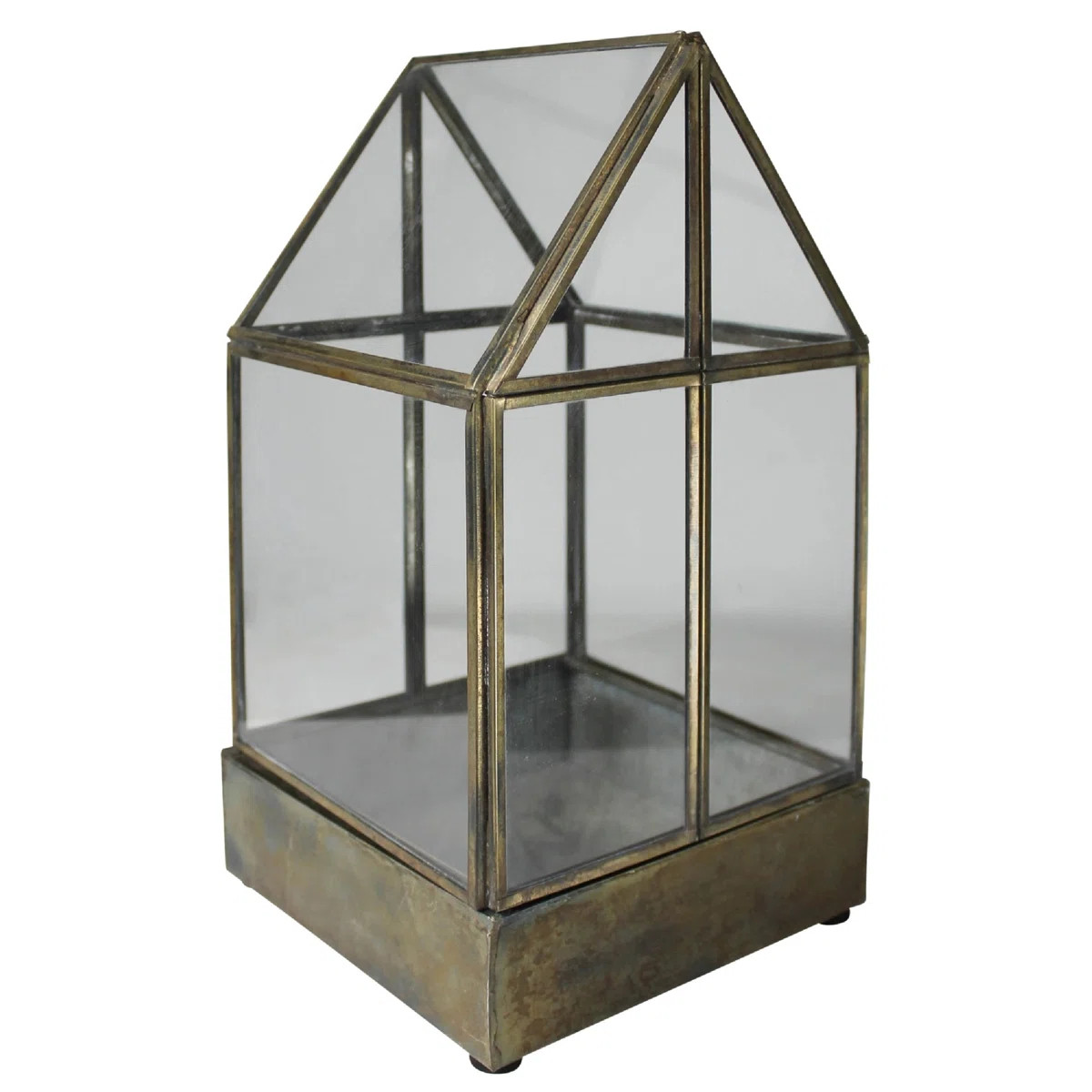 Keyjuan Glass Terrarium | Wayfair North America
