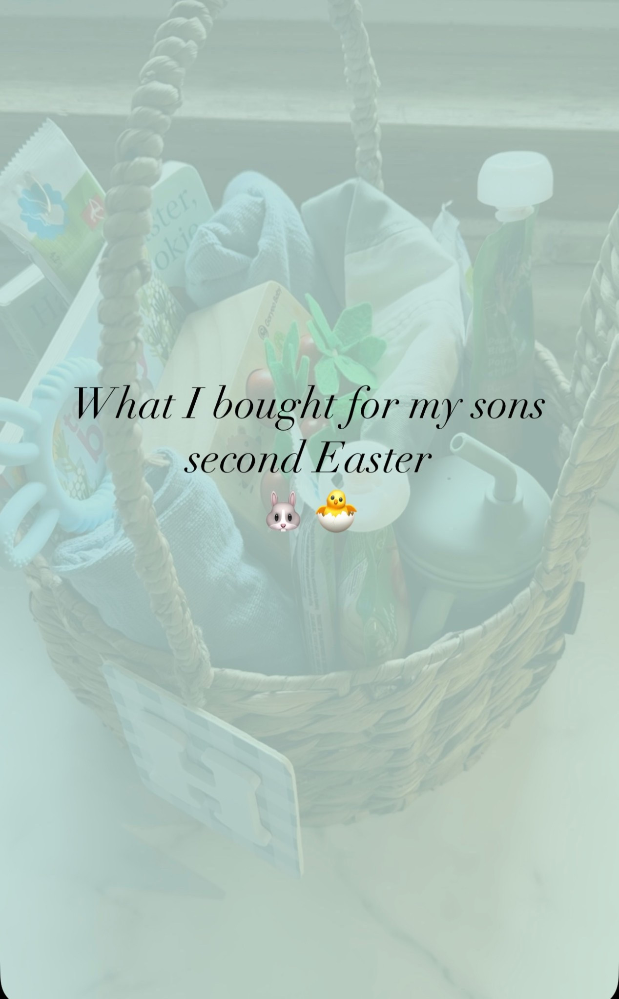 What I got for my 2 year olds no candy Easter basket 🐰🐣

If you’re looking for last minute Easter basket fillers, these will all deliver before Sunday! 



#LTKcanada #LTKkids #LTKspring