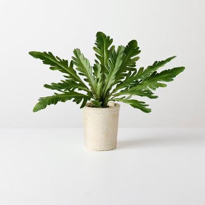 9" XS Green Leaf Artificial Plant - Hearth & Hand™ with Magnolia | Target